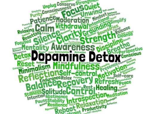 The Dopamine Detox